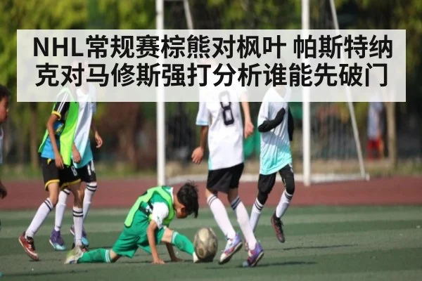 NHL常规赛棕熊对枫叶 帕斯特纳克对马修斯强打分析谁能先破门