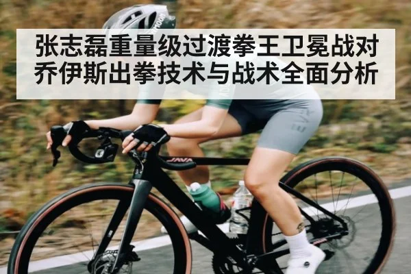 张志磊重量级过渡拳王卫冕战对乔伊斯出拳技术与战术全面分析